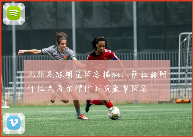 北非足球明星阵容揭秘：萨拉赫阿什拉夫马尔穆什共筑豪华阵容