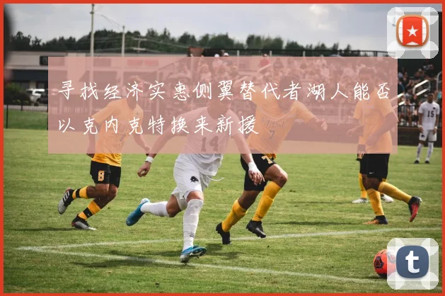 寻找经济实惠侧翼替代者湖人能否以克内克特换来新援