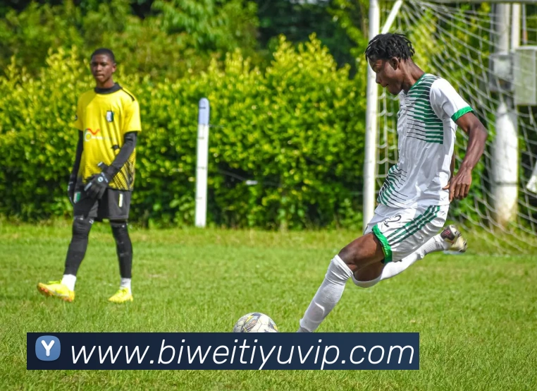 必威体育APP 高清赛事图